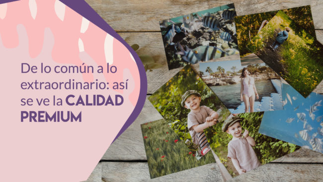 FOTOS NORMALES VS LÍNEA PREMIUM (2)(1)