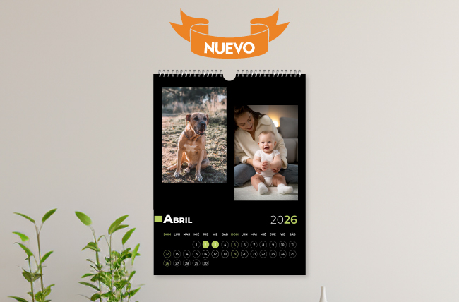 Regala Calendario Multipágina Vertical